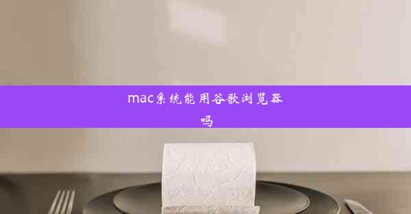 mac系统能用谷歌浏览器吗