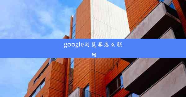 google浏览器怎么联网