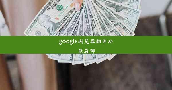 google浏览器翻译功能在哪