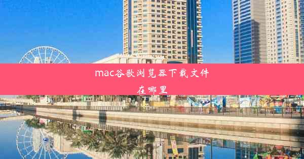 mac谷歌浏览器下载文件在哪里