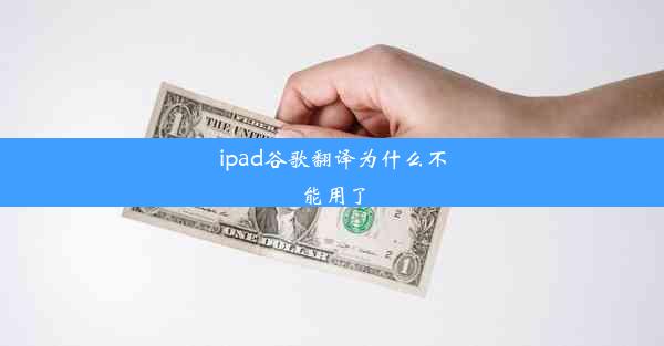 ipad谷歌翻译为什么不能用了