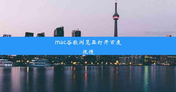 mac谷歌浏览器打开百度很慢