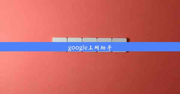 google上网助手