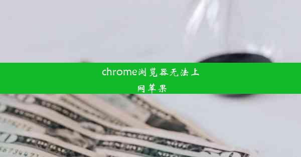 chrome浏览器无法上网苹果