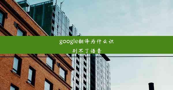 google翻译为什么识别不了语音