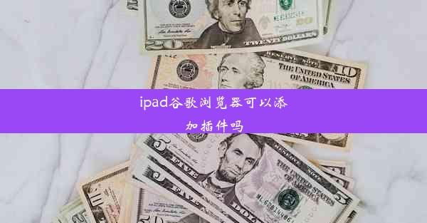 ipad谷歌浏览器可以添加插件吗