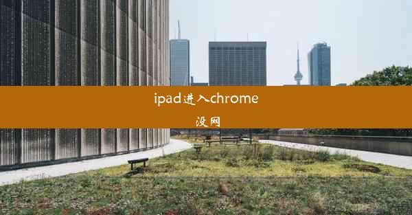 ipad进入chrome没网