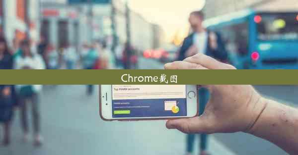 Chrome截图