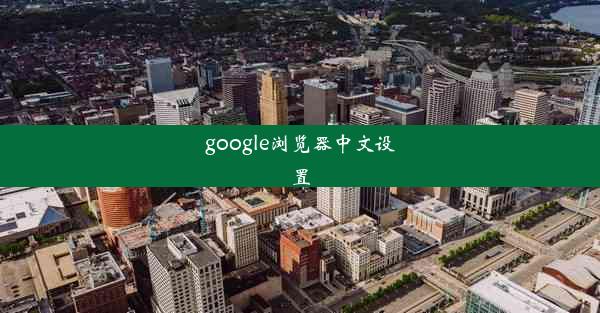 google浏览器中文设置