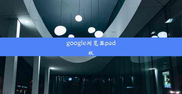 google浏览器pad版