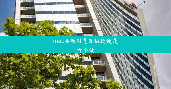 mac谷歌浏览器快捷键是哪个键