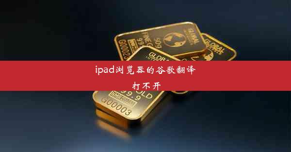 ipad浏览器的谷歌翻译打不开