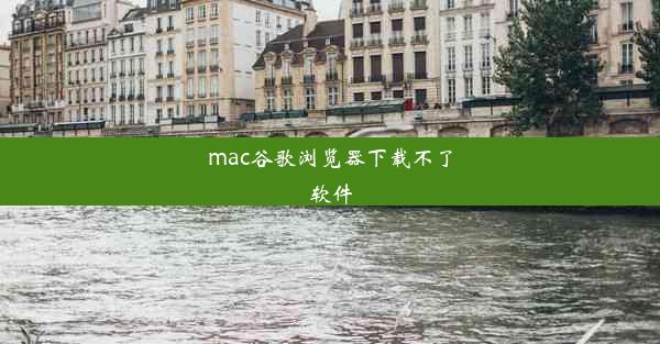 mac谷歌浏览器下载不了软件