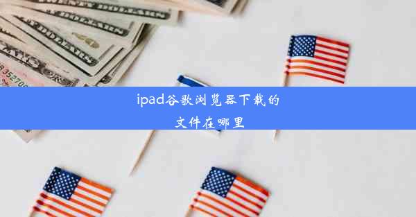 ipad谷歌浏览器下载的文件在哪里