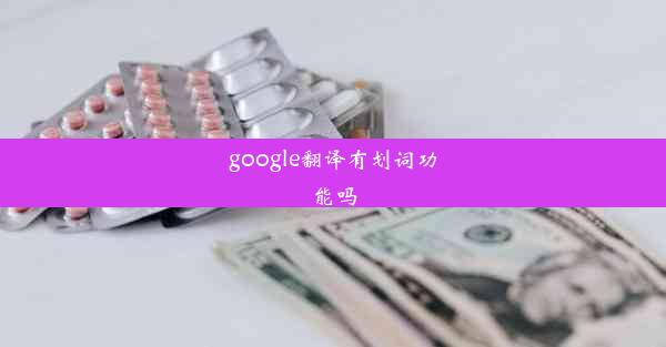 google翻译有划词功能吗