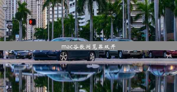 mac谷歌浏览器双开