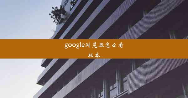 google浏览器怎么看版本