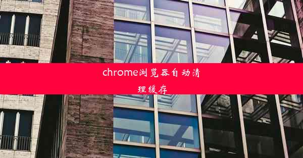 chrome浏览器自动清理缓存