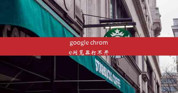 google chrome浏览器打不开