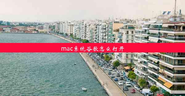 mac系统谷歌怎么打开