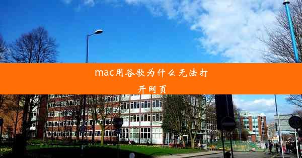 mac用谷歌为什么无法打开网页