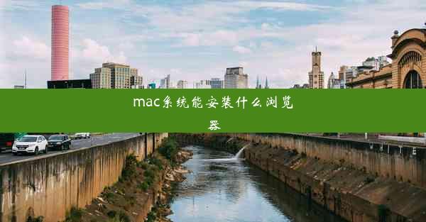 mac系统能安装什么浏览器