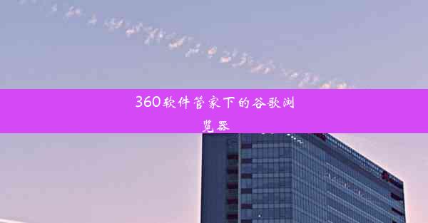 360软件管家下的谷歌浏览器