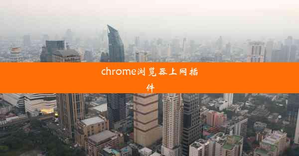 chrome浏览器上网插件