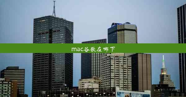 mac谷歌在哪下