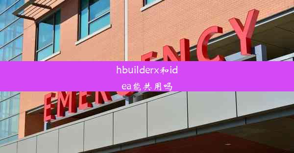 hbuilderx和idea能共用吗