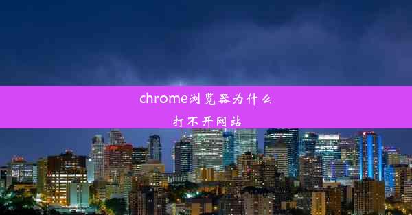 chrome浏览器为什么打不开网站