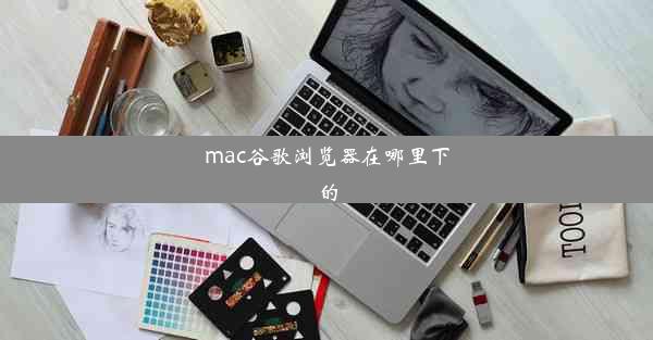 mac谷歌浏览器在哪里下的