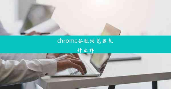 chrome谷歌浏览器长什么样