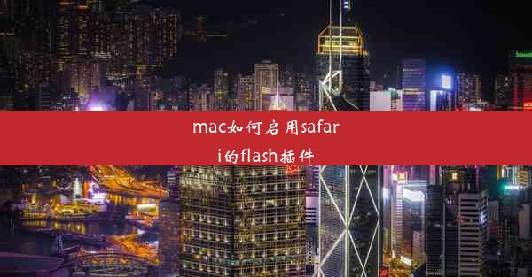 mac如何启用safari的flash插件