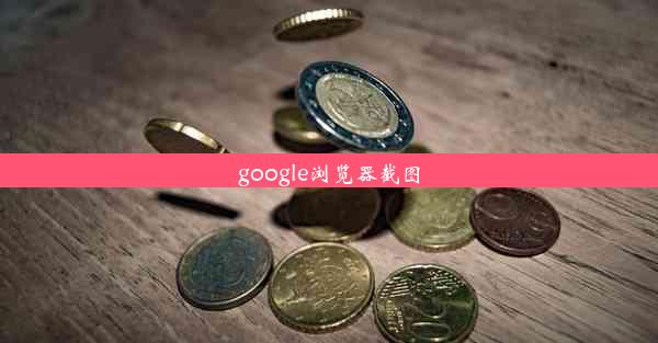 google浏览器截图