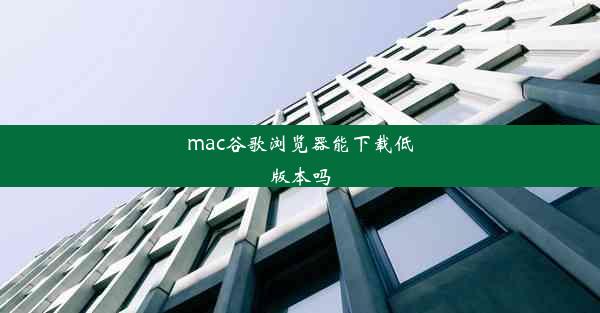 mac谷歌浏览器能下载低版本吗