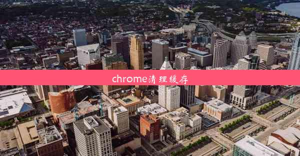 chrome清理缓存