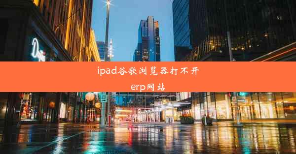 ipad谷歌浏览器打不开erp网站