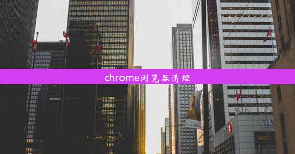 chrome浏览器清理