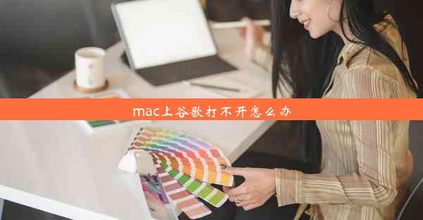 mac上谷歌打不开怎么办