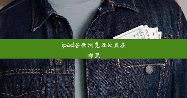 ipad谷歌浏览器设置在哪里