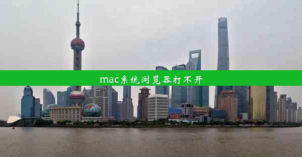 mac系统浏览器打不开