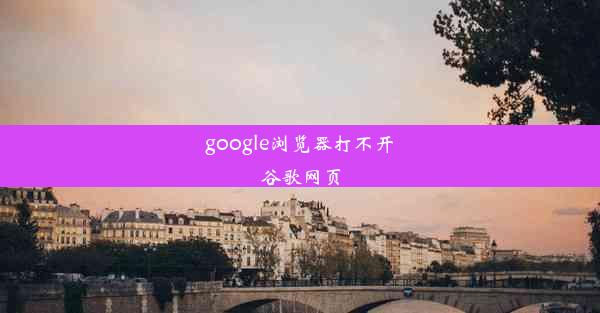 google浏览器打不开谷歌网页