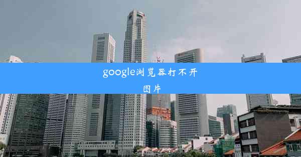 google浏览器打不开图片