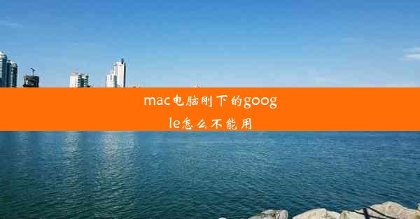 mac电脑刚下的google怎么不能用