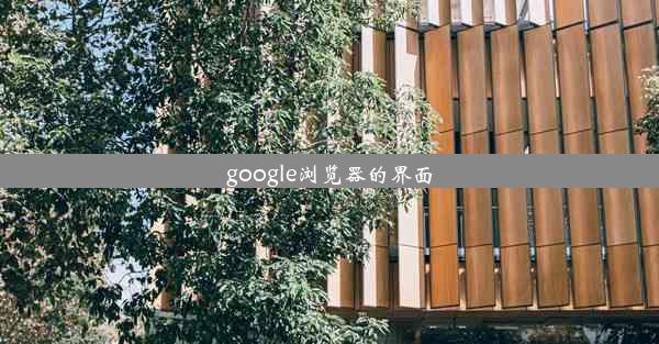 google浏览器的界面