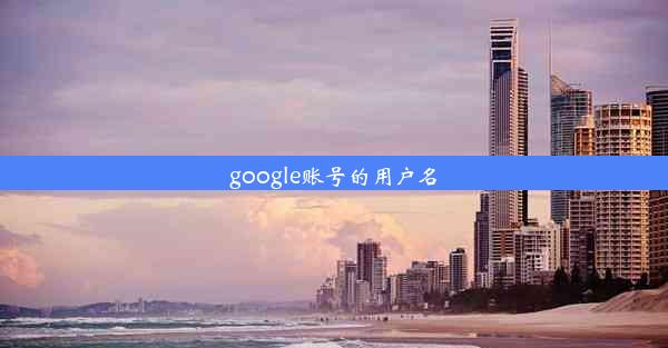 google账号的用户名