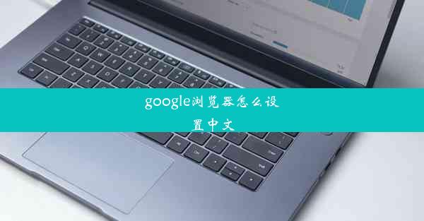 google浏览器怎么设置中文