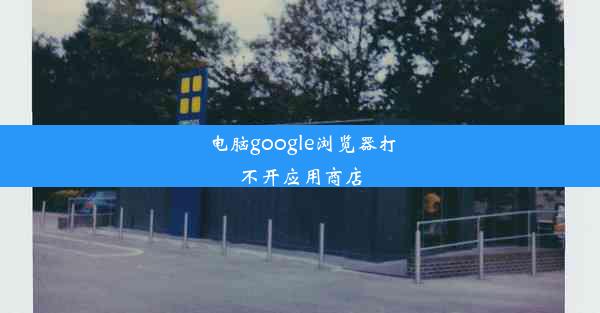 电脑google浏览器打不开应用商店