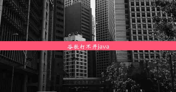 谷歌打不开java